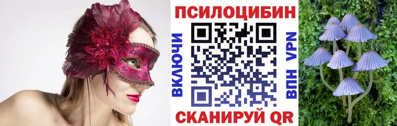 Псилоцибиновые грибы ЛСД  Андреаполь 